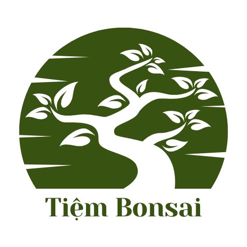 tiembonsai.com